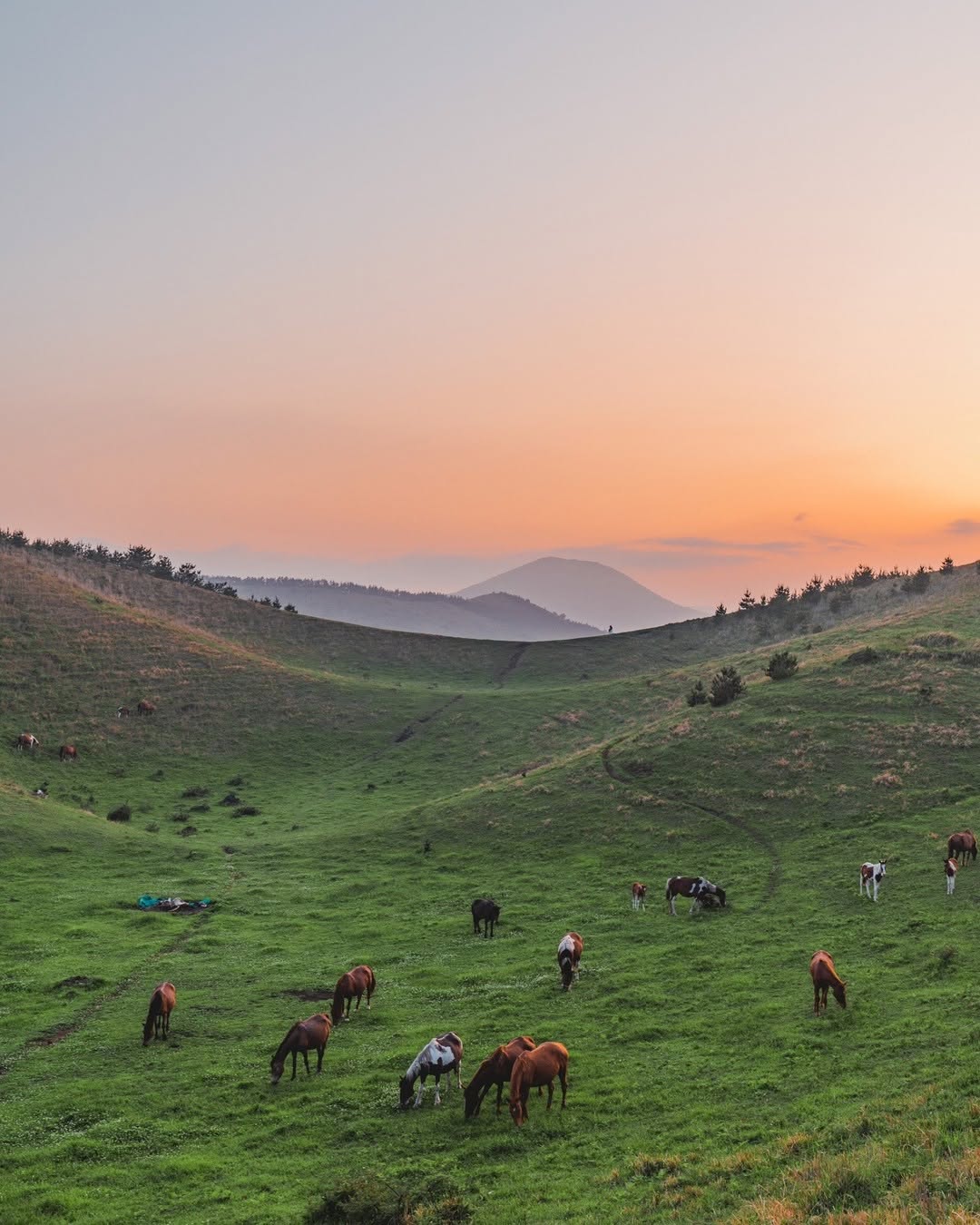 Yongnuni Oreum: Horses Grazing in the Crater
