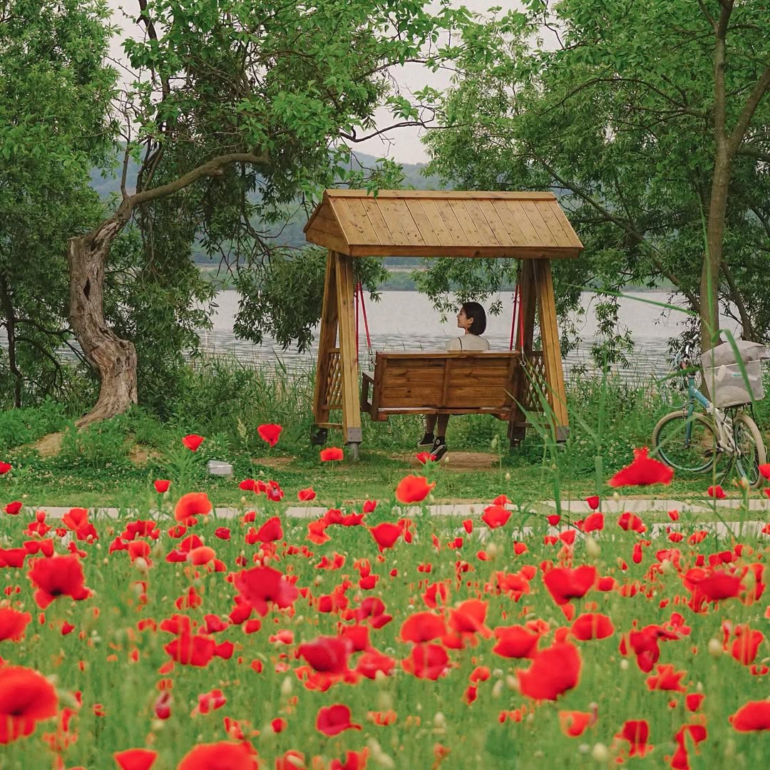 Water Garden Offers Relaxing Drive