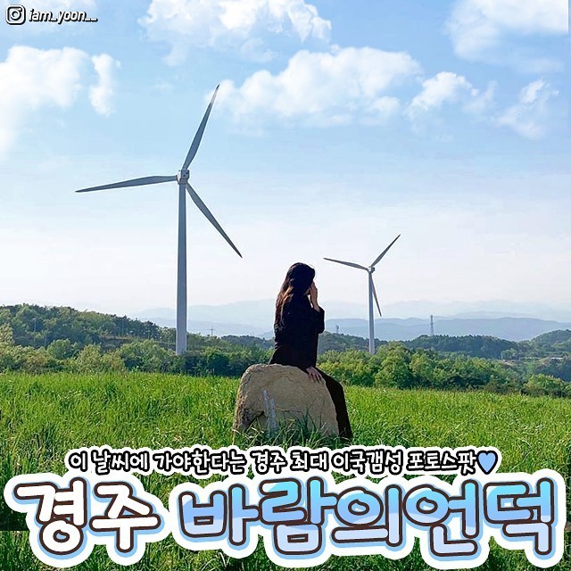 Hwarang Hill: Gyeongju's European-Style Photo Spot