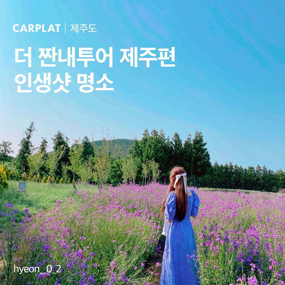 Jeju's Top Photo Spots for Your Next Shot