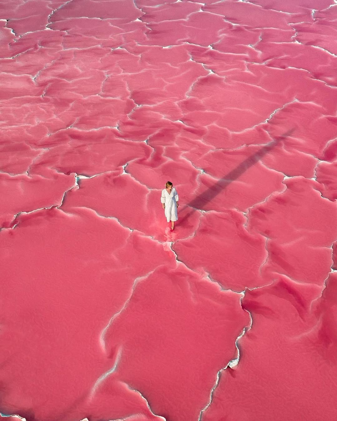 Pink Lakes: Aix-en-Provence and Salin-de-Giraud