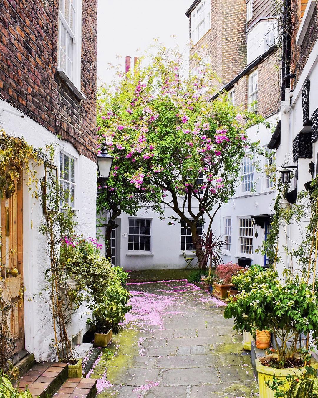 Hampstead: A Favourite London Corner