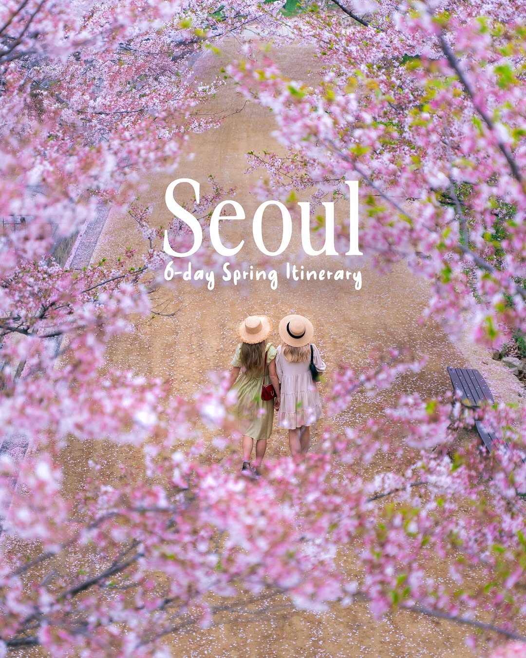 Seoul Spring Itinerary: Palaces, Markets, and Modern Culture