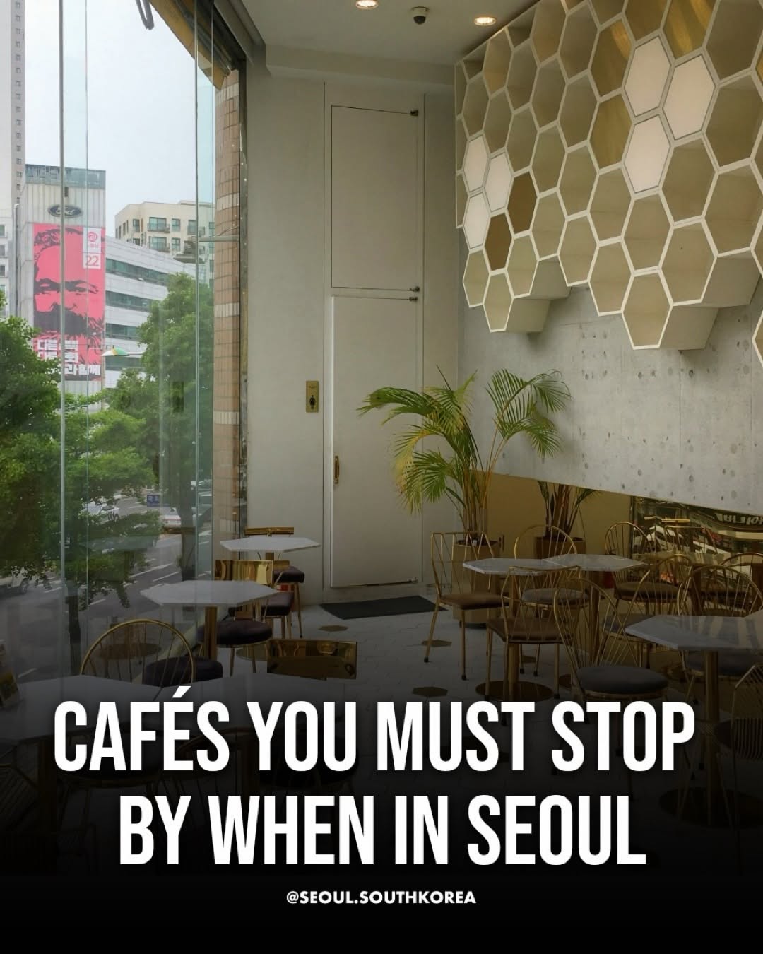 Seoul's Top Cafes For Your Next Trip