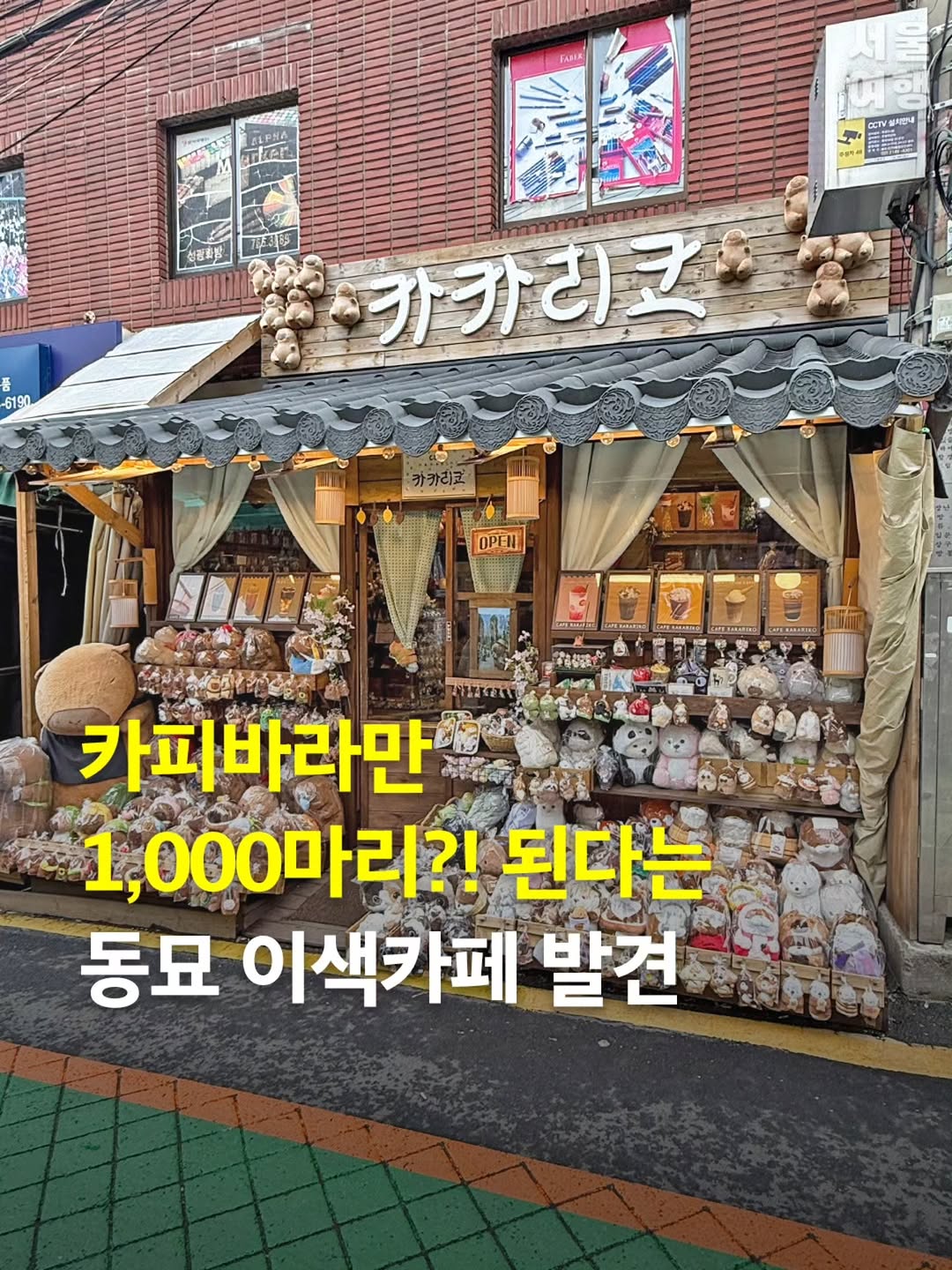 Capybara Cafe Heaven: KaKaRiKo Cafe