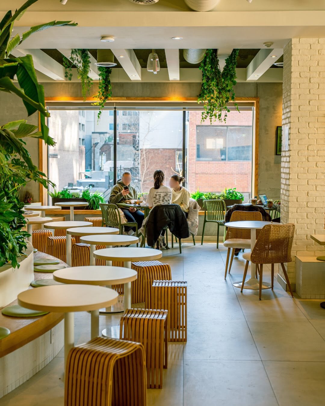 Cafe Forêt's Serene Forest Ambiance