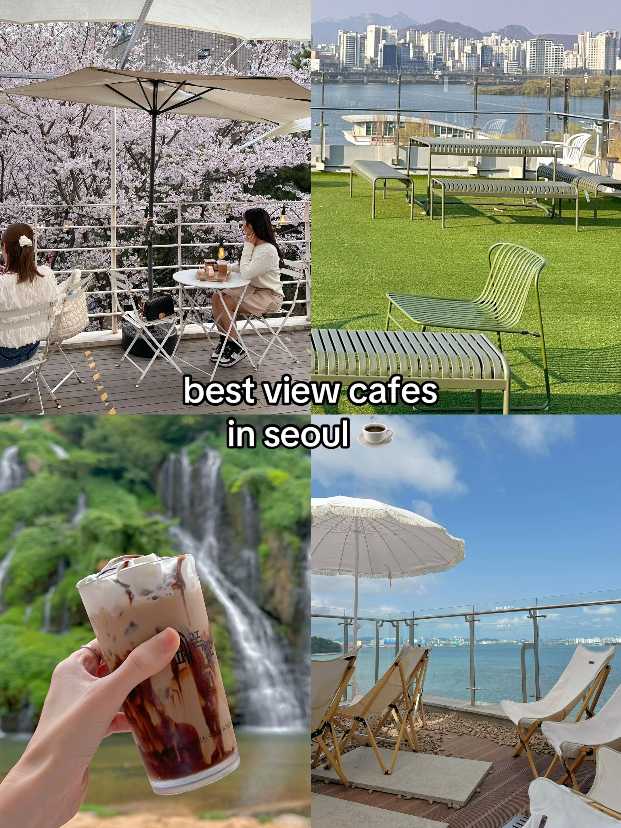 Cafes With Books And Baked Goods