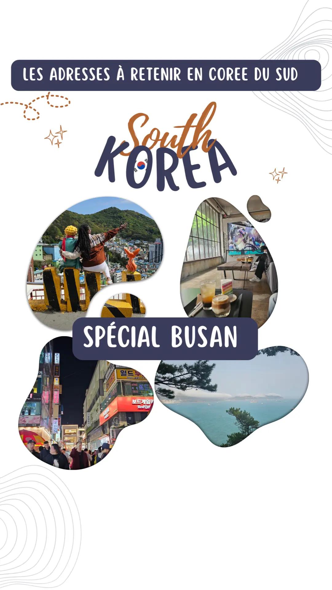 Busan's Diverse Attractions and Local Eats