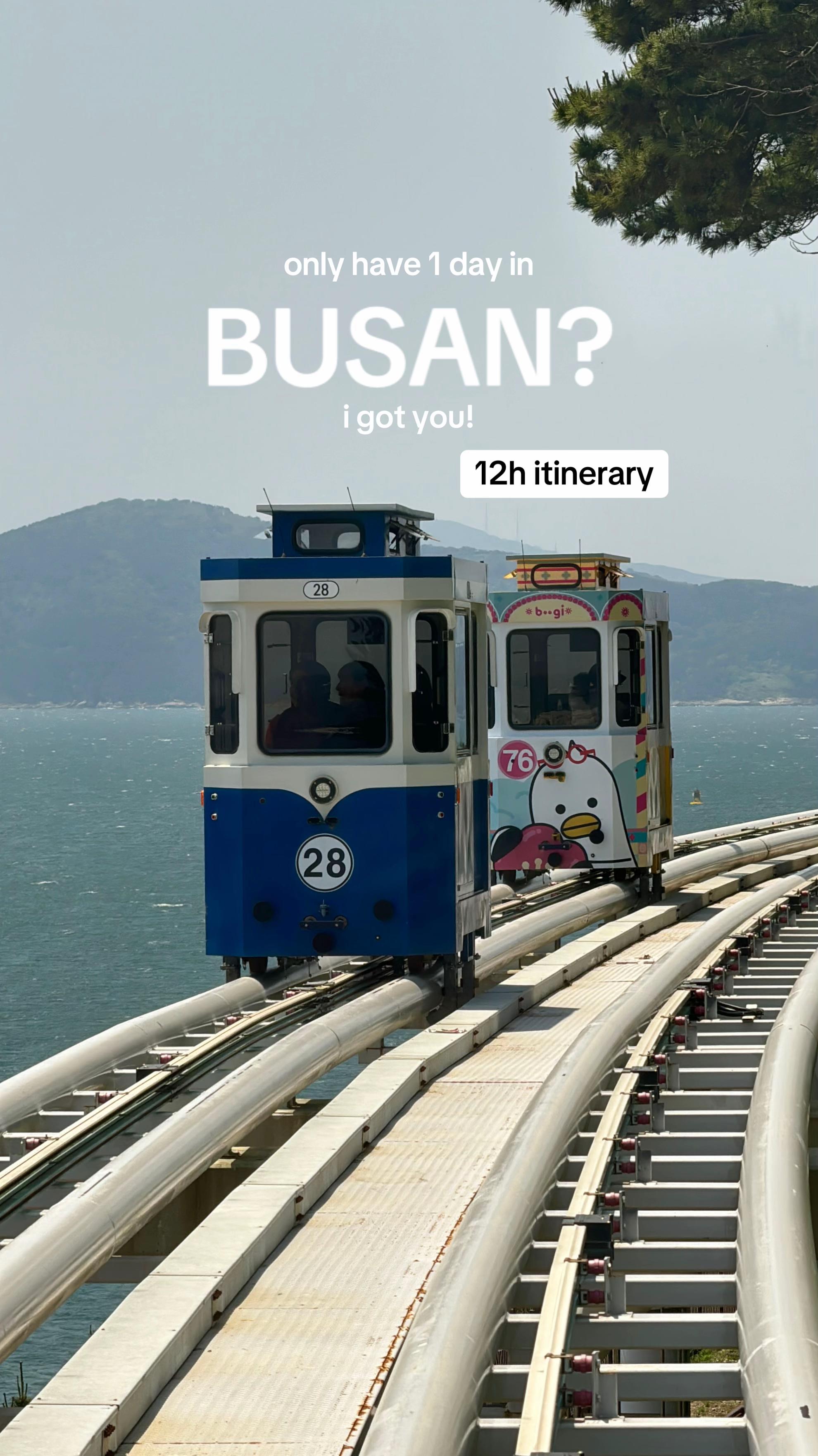 Busan's Coastal Wonders And City Sights