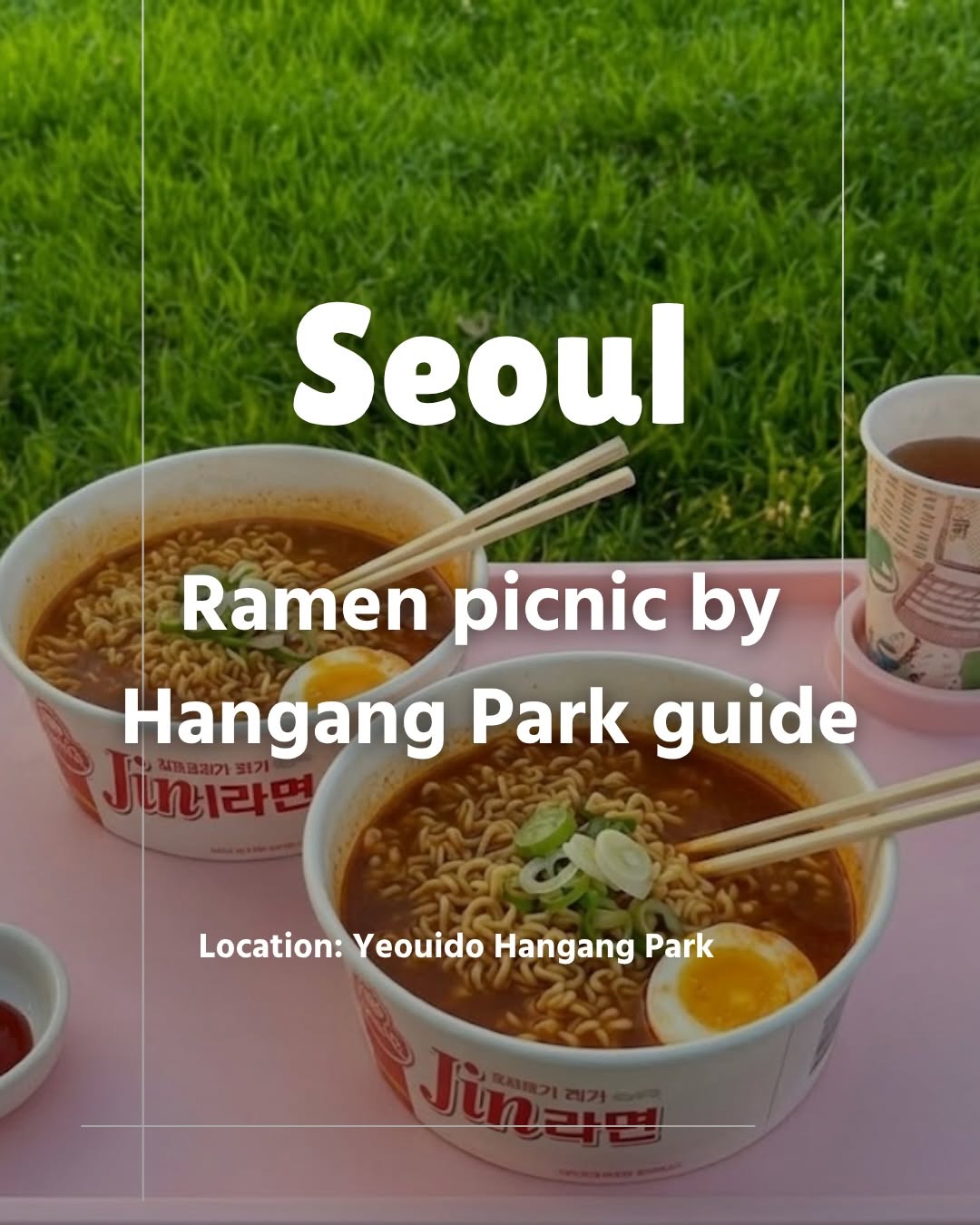 Seoul Attractions For A Han River Picnic