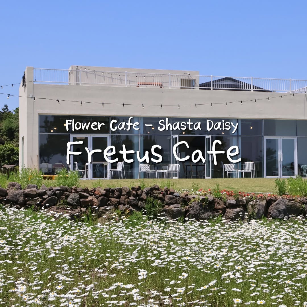 Bomnal Cafe: Coffee, Desserts, and Flowers