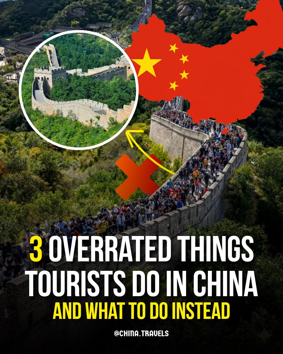 Panda Habitats and Iconic Chinese Landmarks