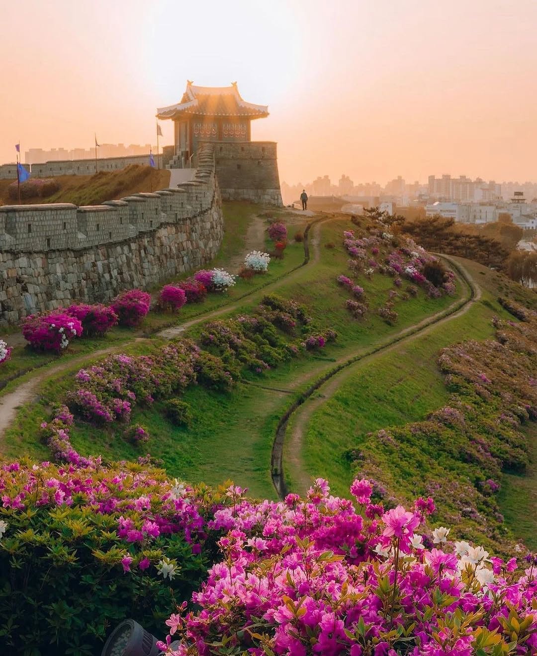 Suwon Hwaseong Fortress: Korea's Last Walled Fortress