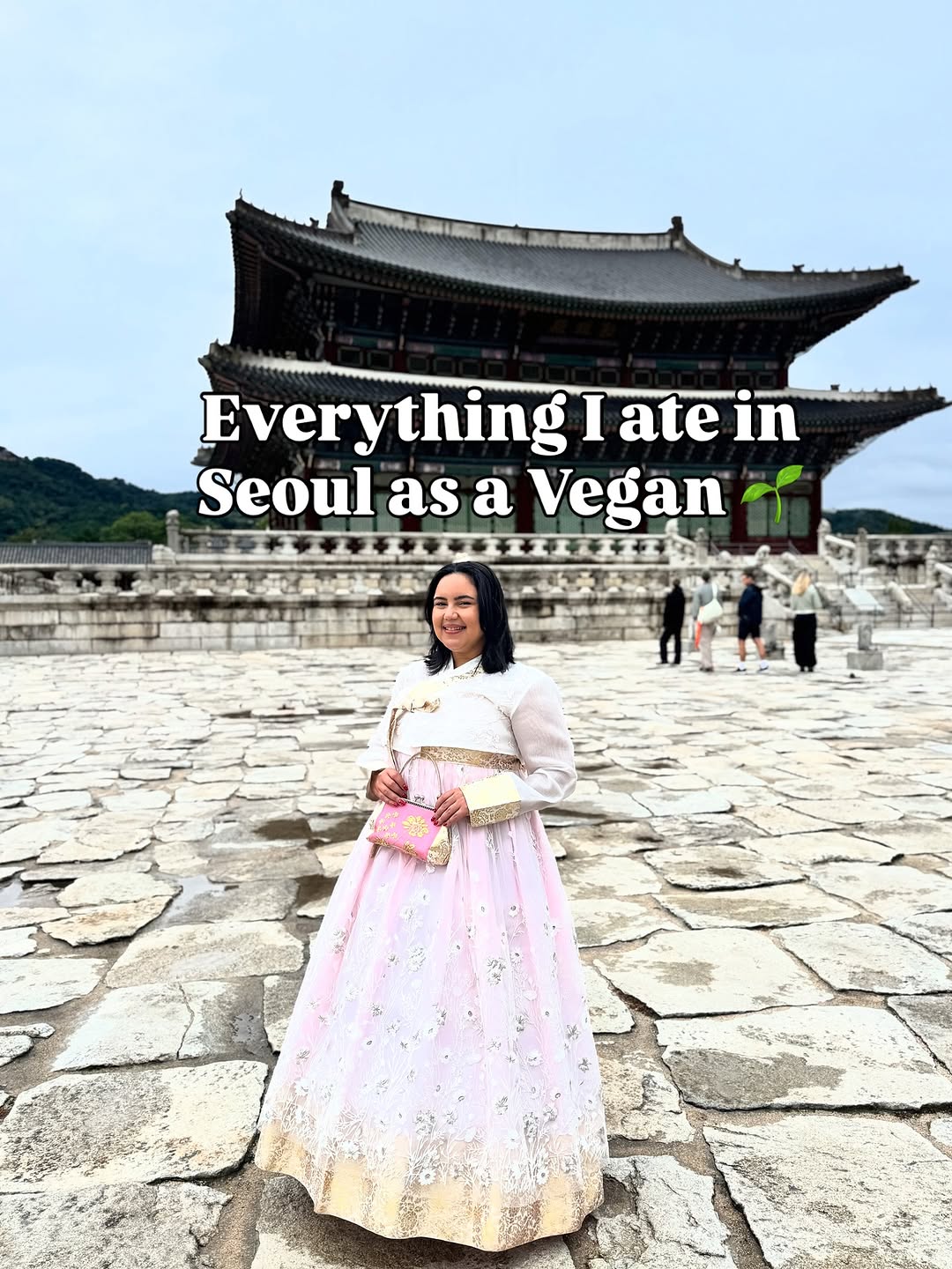 Seoul Vegan Food Adventures and DMZ Delights