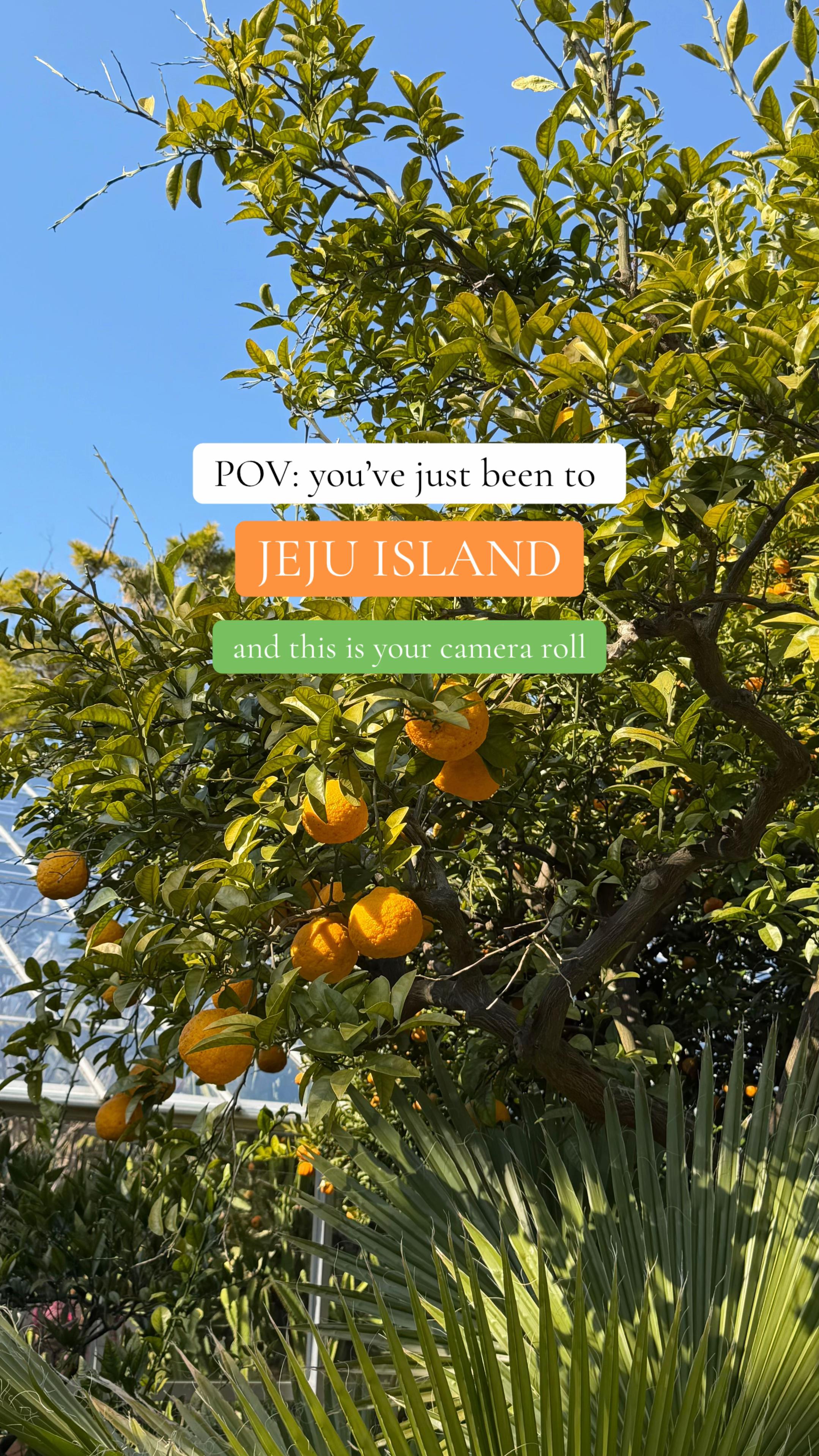 Jeju Island's Natural Wonders and Cultural Sites