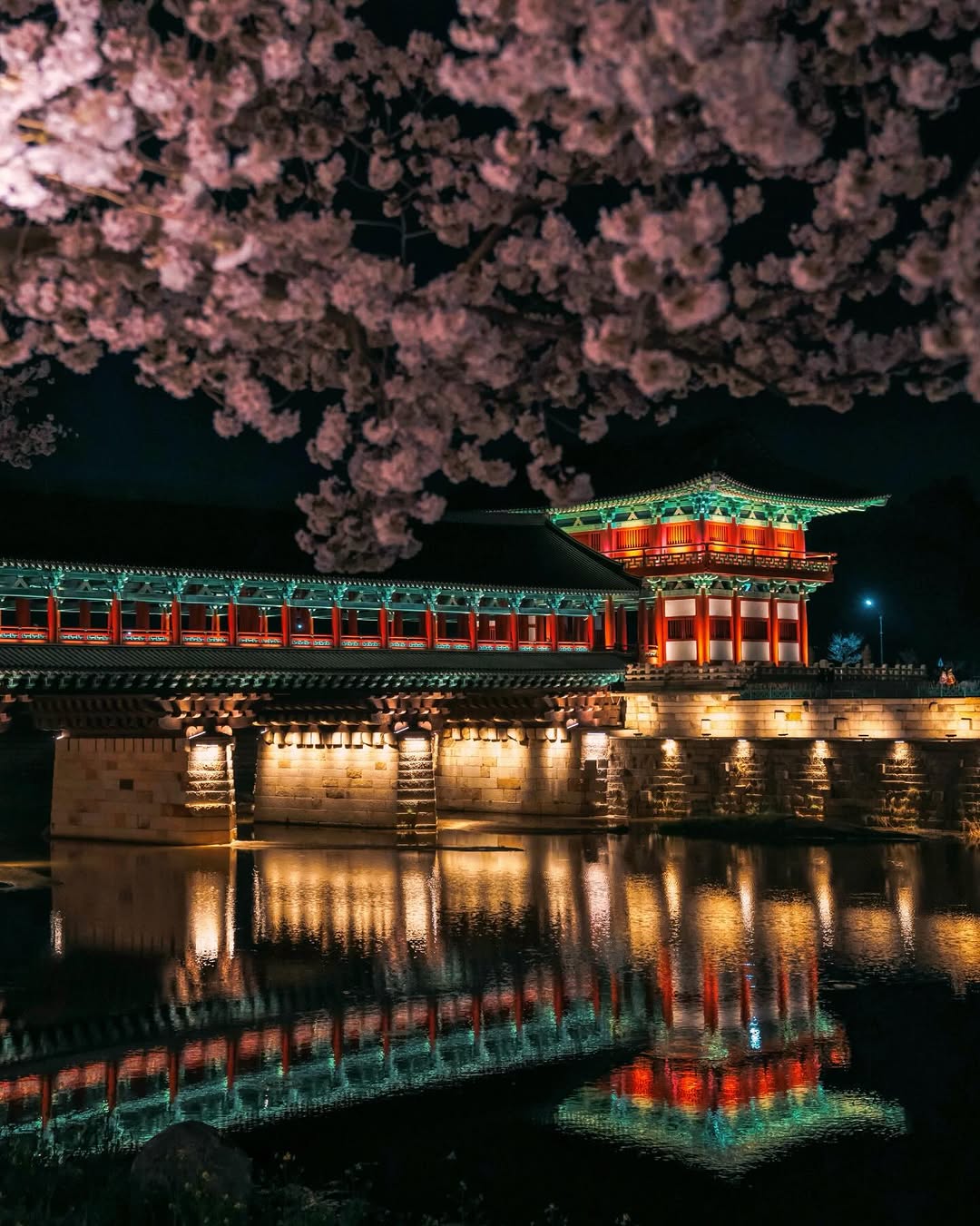 Woljeong Bridge: A Romantic Spring Cherry Blossom Spot