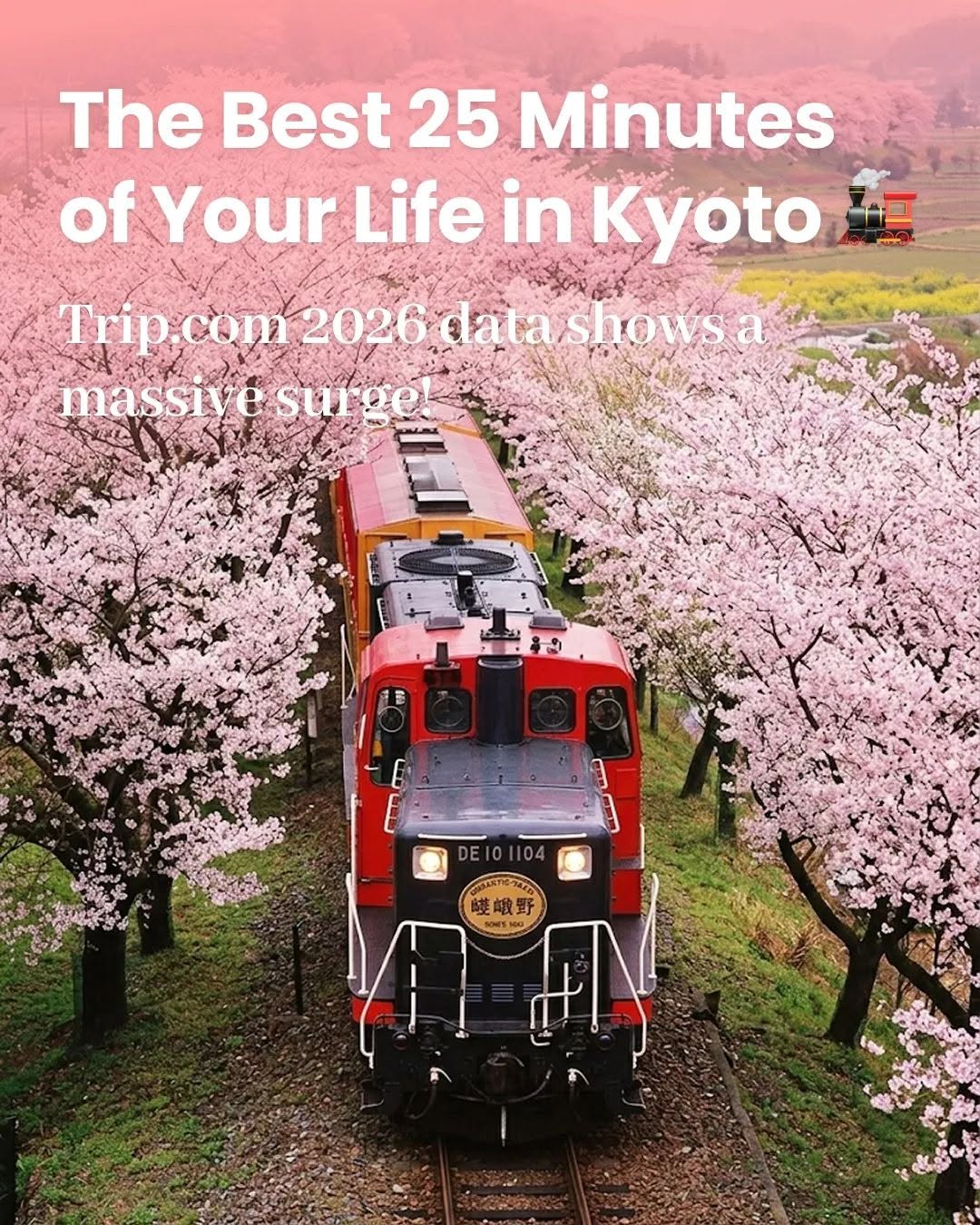 Sagano Train Journey Through Kyoto's Hozugawa Gorge