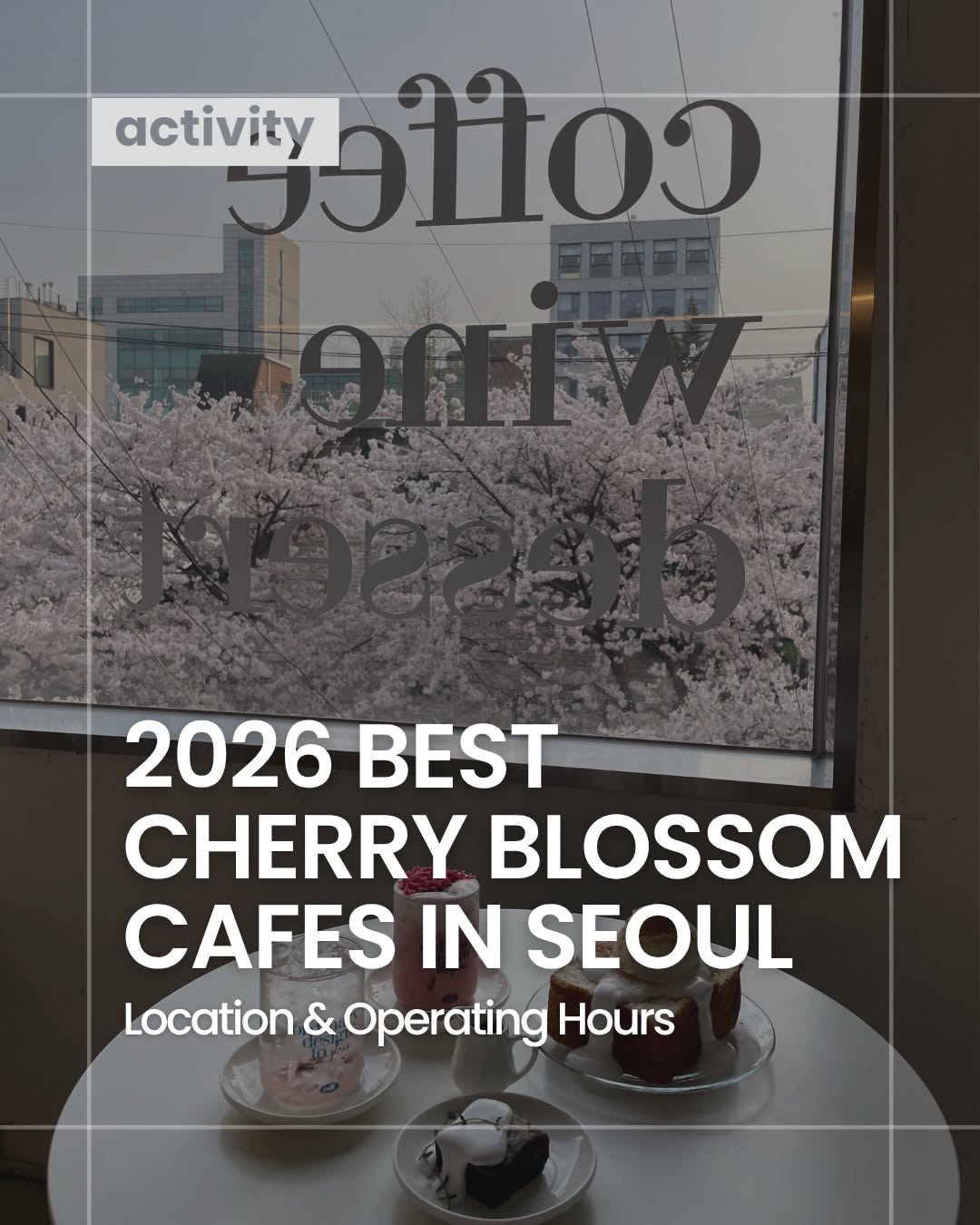 Best Cherry Blossom Cafes in Seoul For Spring