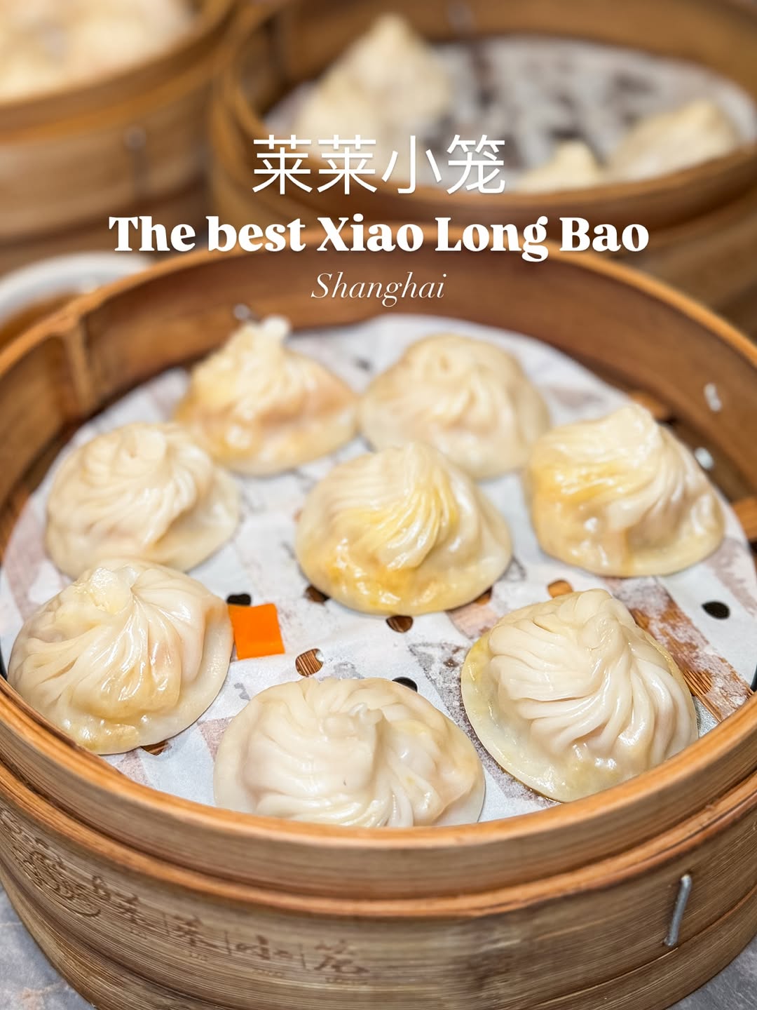 Lai Lai Snack Dumpling: Shanghai's Best Xiao Long Bao