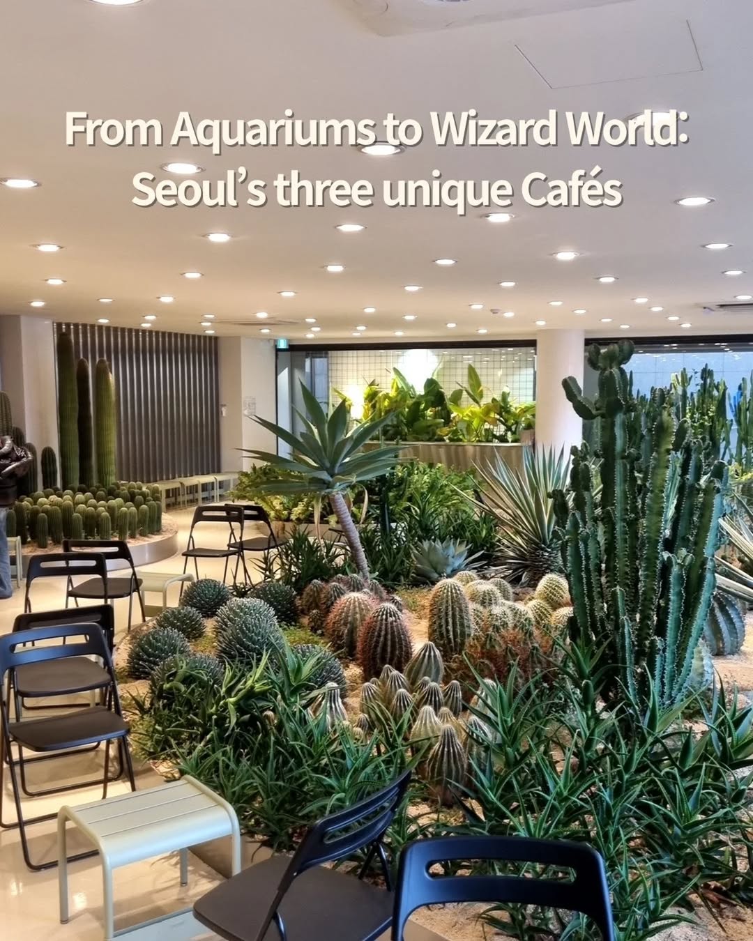 Seoul's Themed Cafes: Aquariums, Magic, and More
