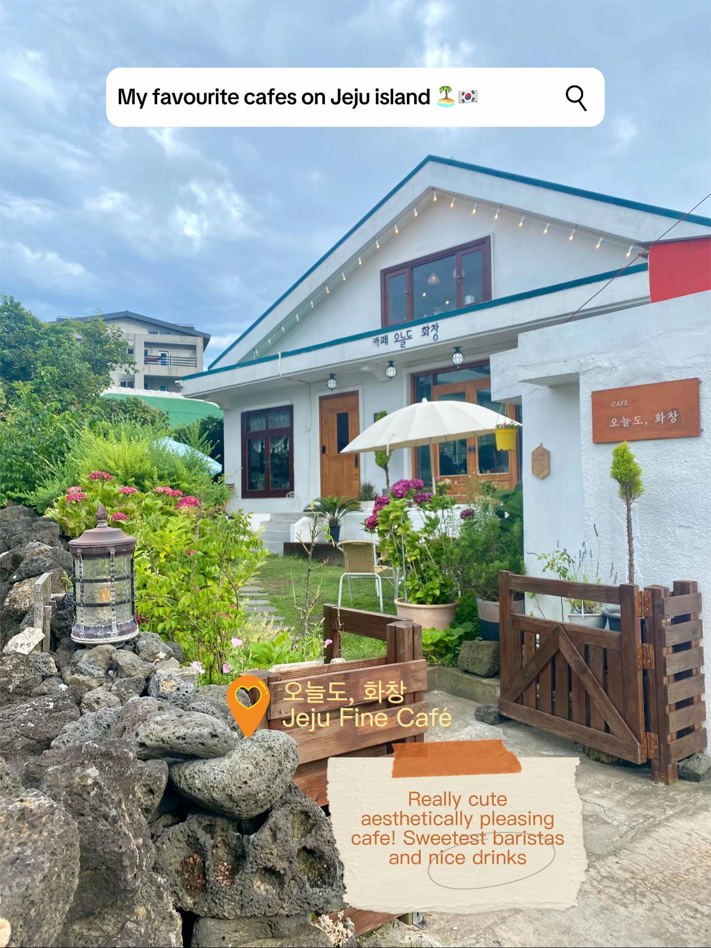 Charming Jeju Cafes