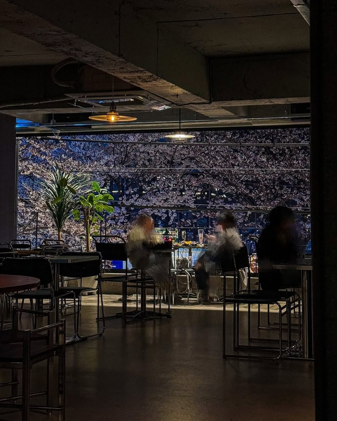 The View Hapjeong Cafe