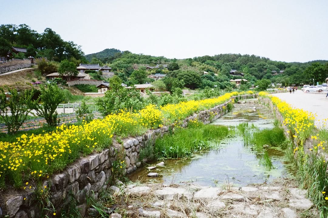 Andong Hahoe Folk Village Cultural Exploration