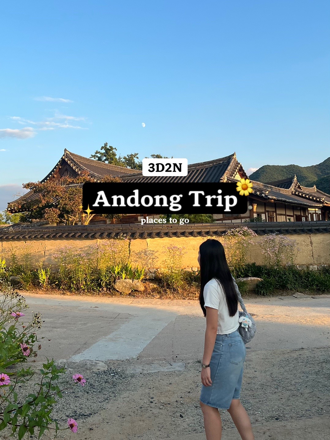 Andong: Discover Traditional Korean Culture