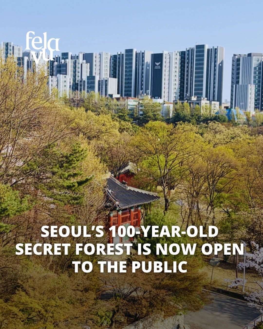 Hongneung Forest: Seoul's Centennial Green Escape Opens