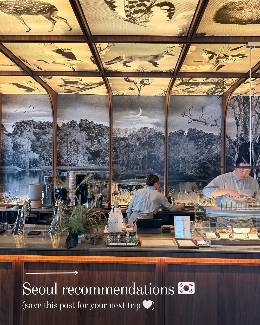Seoul Favorites: Beauty, Cafes, and Culture