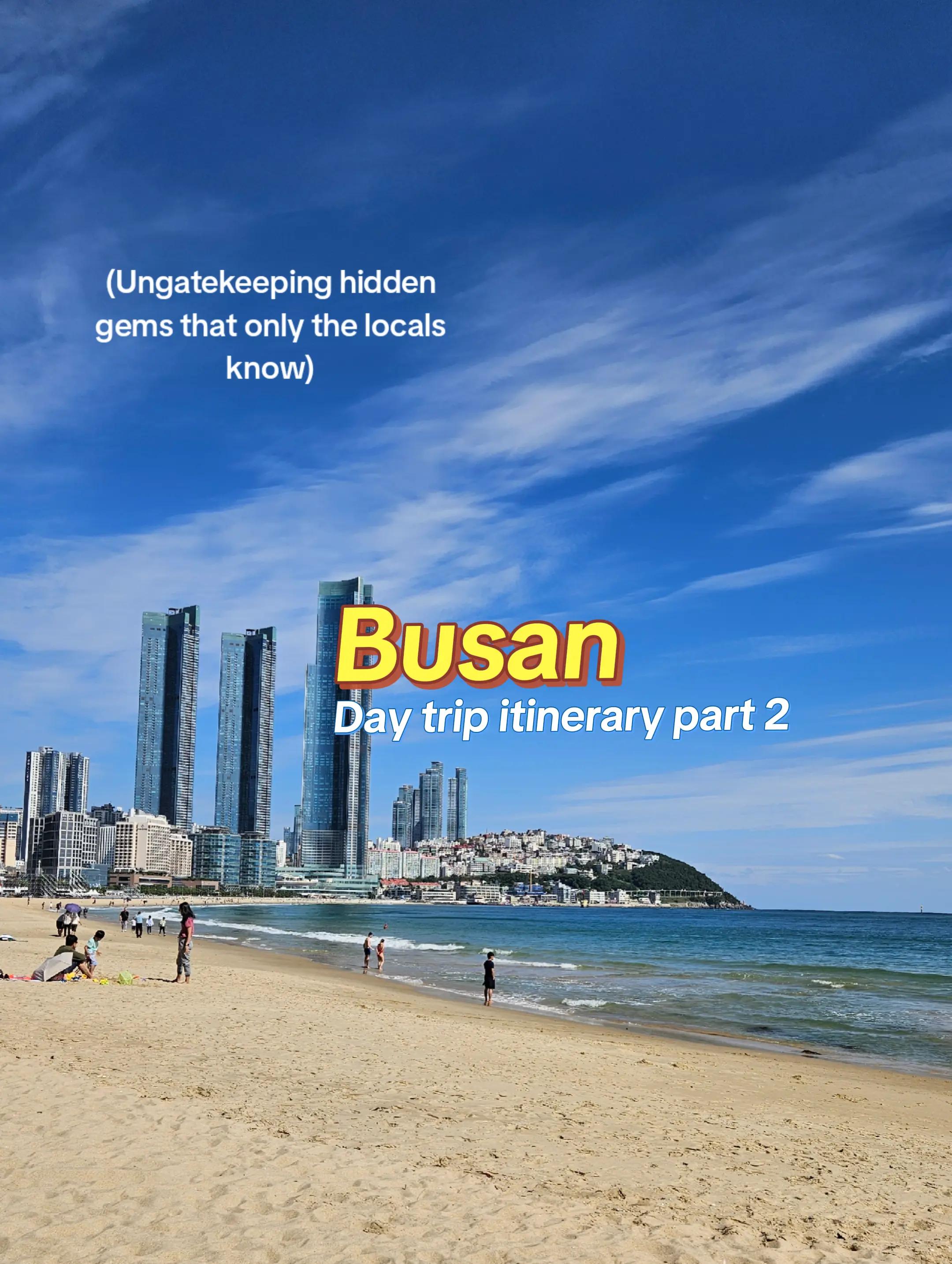 Ocean Views and Savory Bites in Busan