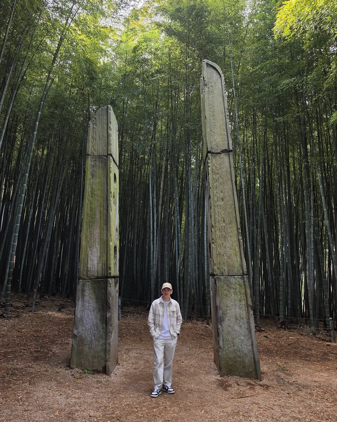Ahopsan Forest: A Magical Portal From The King