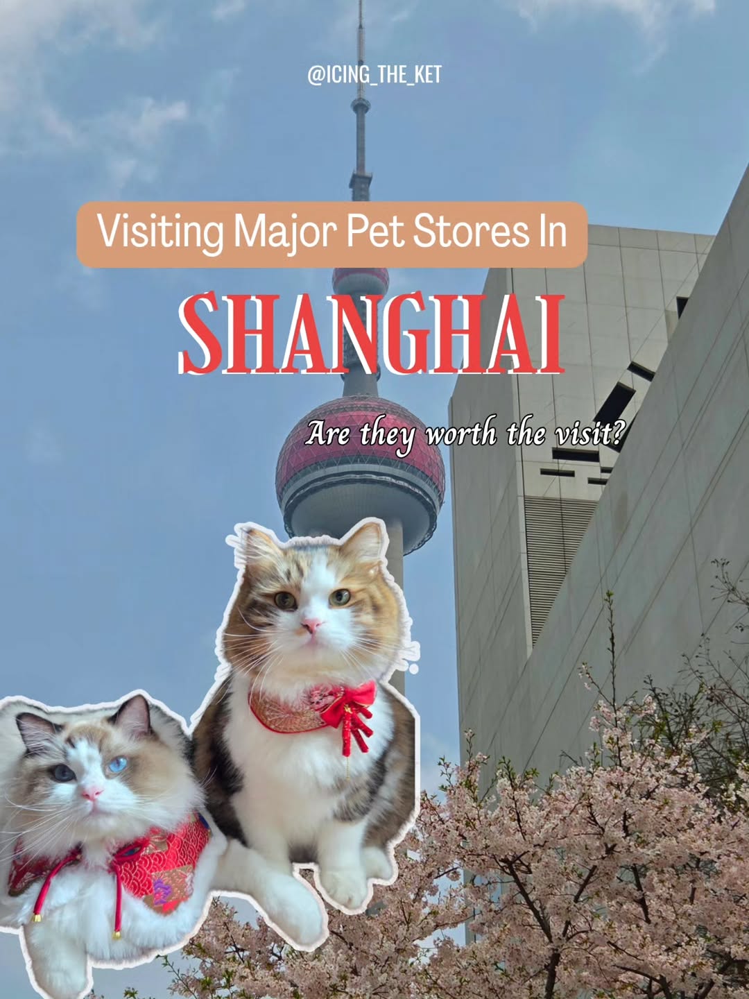 Shanghai Pet Stores With Creative Products