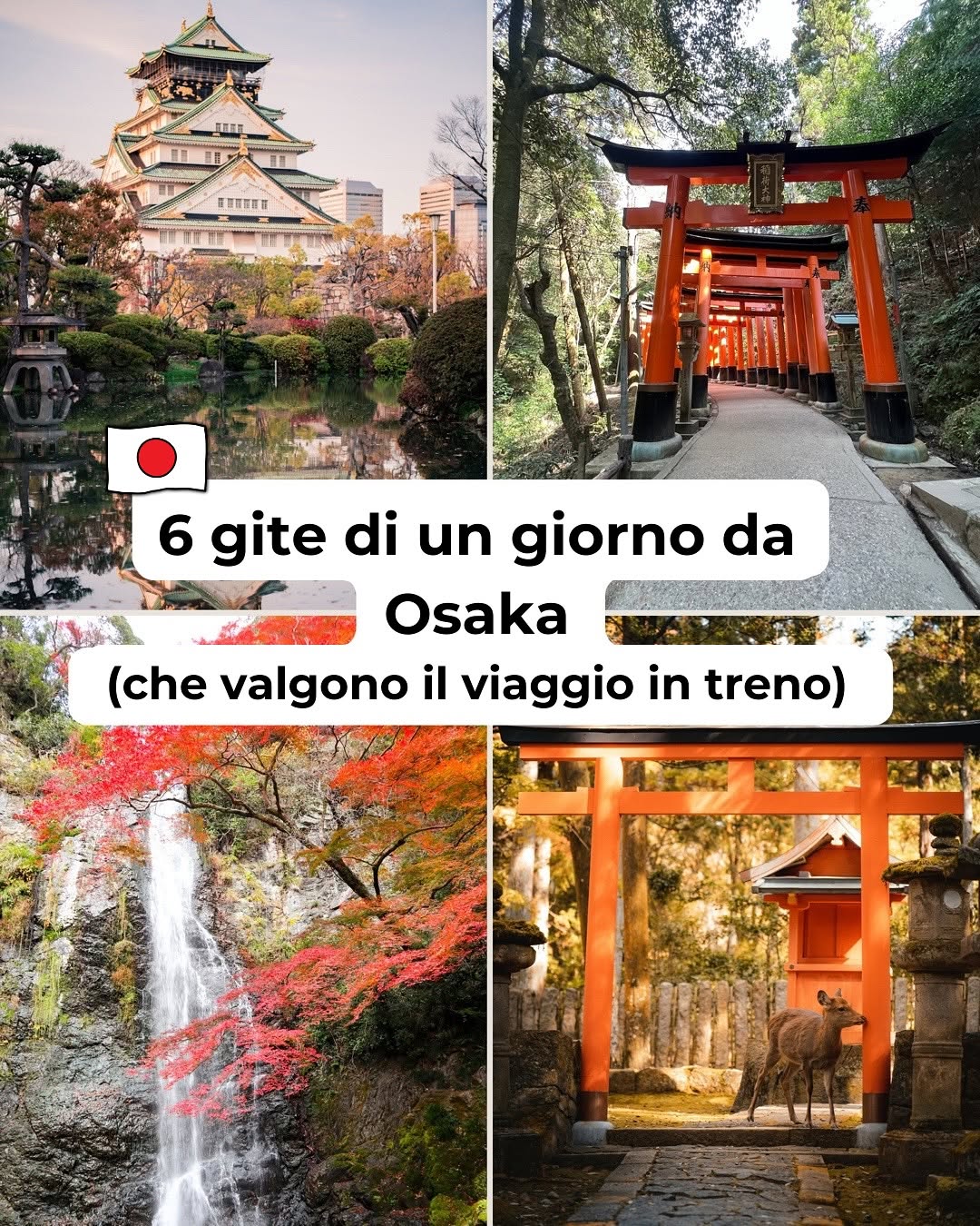 Japan Travel Guide: Top Sights and Hidden Gems