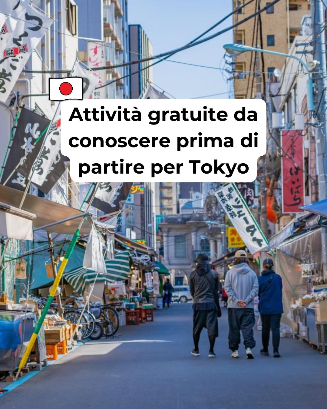 Tokyo's Top Attractions: Temples, Views, and Sumo
