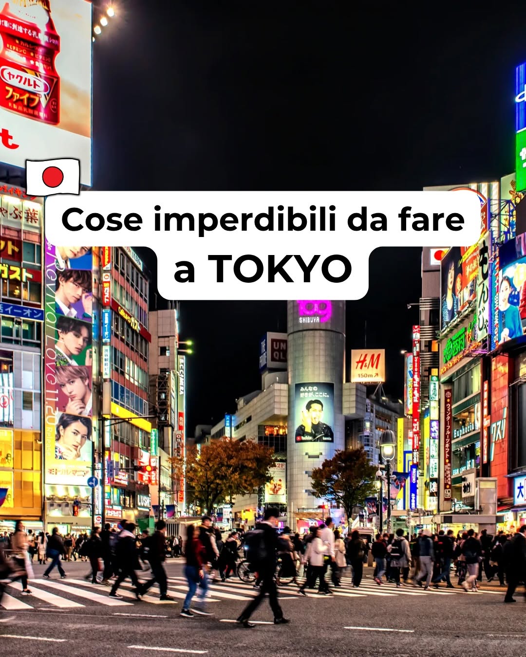 Japan Travel Guide: Popular Tokyo Attractions