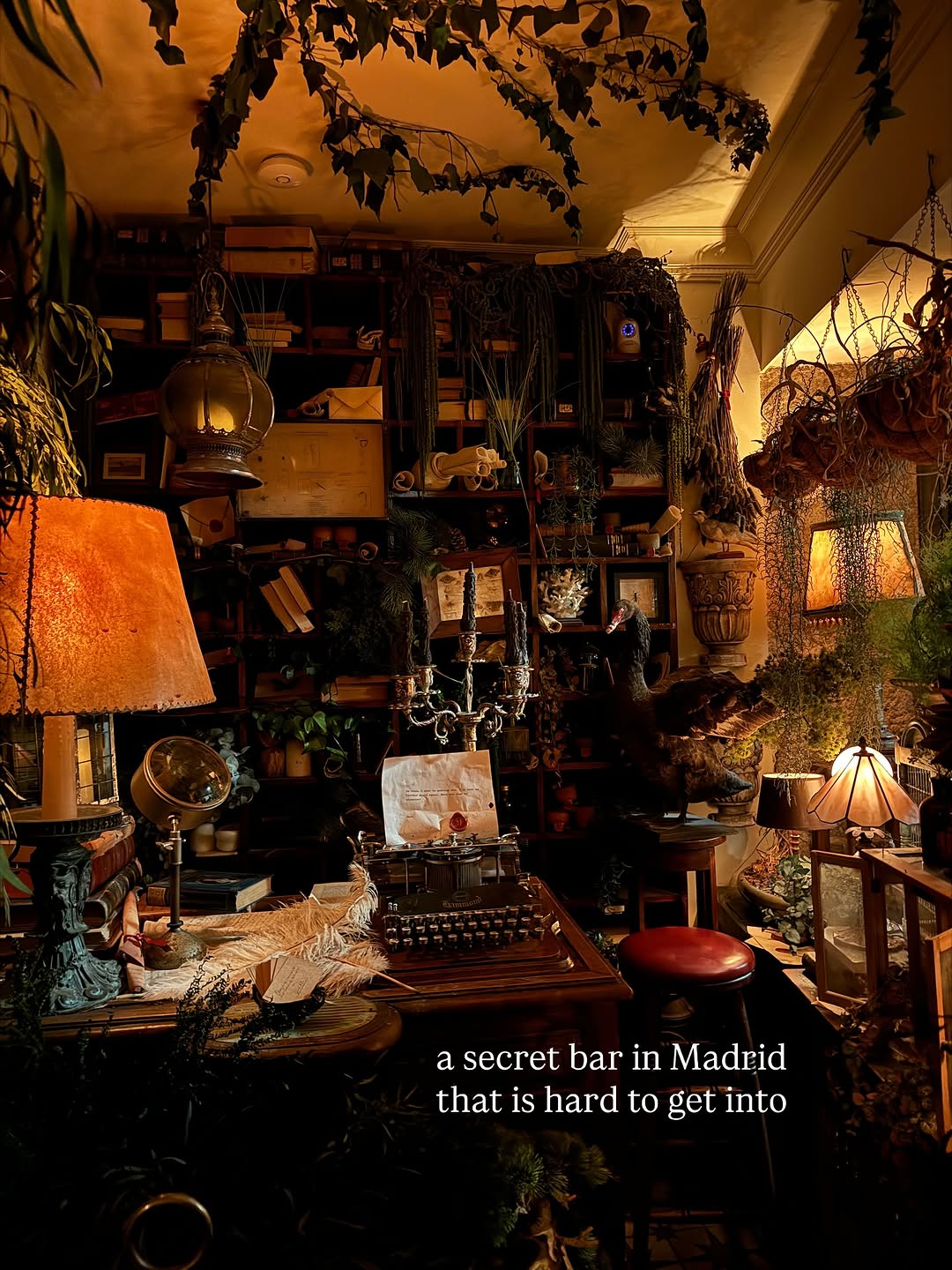 Madrid's Secret Bar Jack's Library