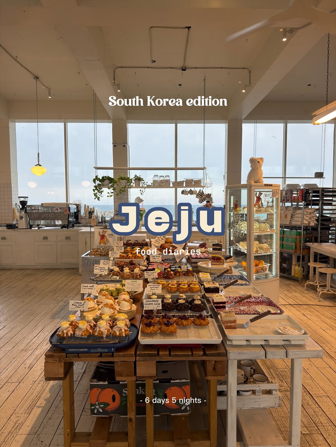 Jeju Food Adventures: Markets, Cafes, and Local Delights