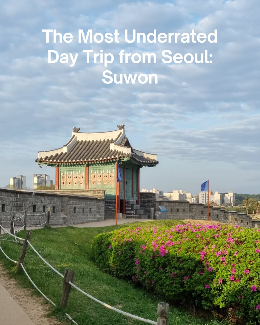 Suwon Day Trip: Fortress, Palaces, and Trendy Spots