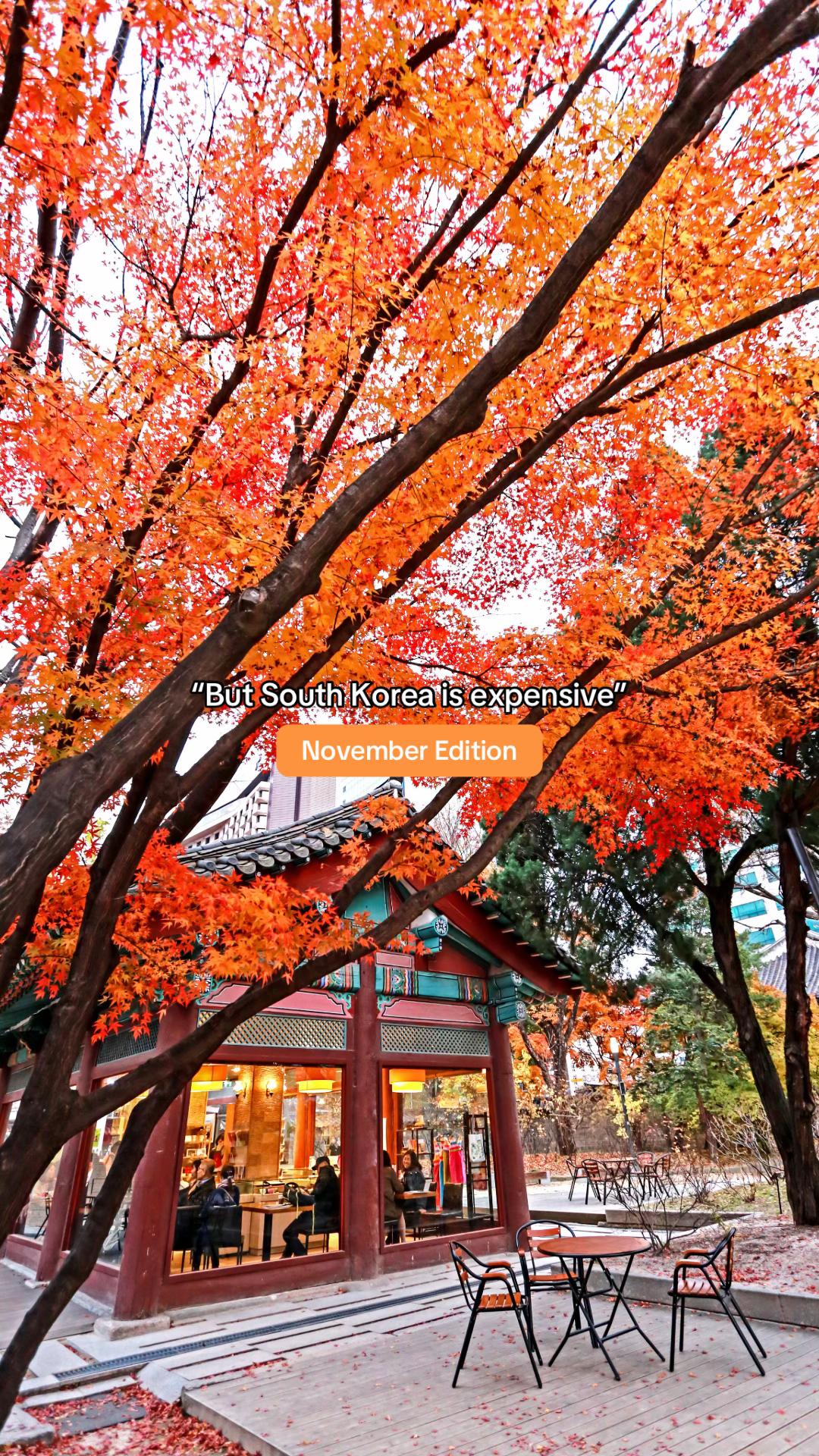 Free November Events at Cheonggyecheon and Lotte World Mall