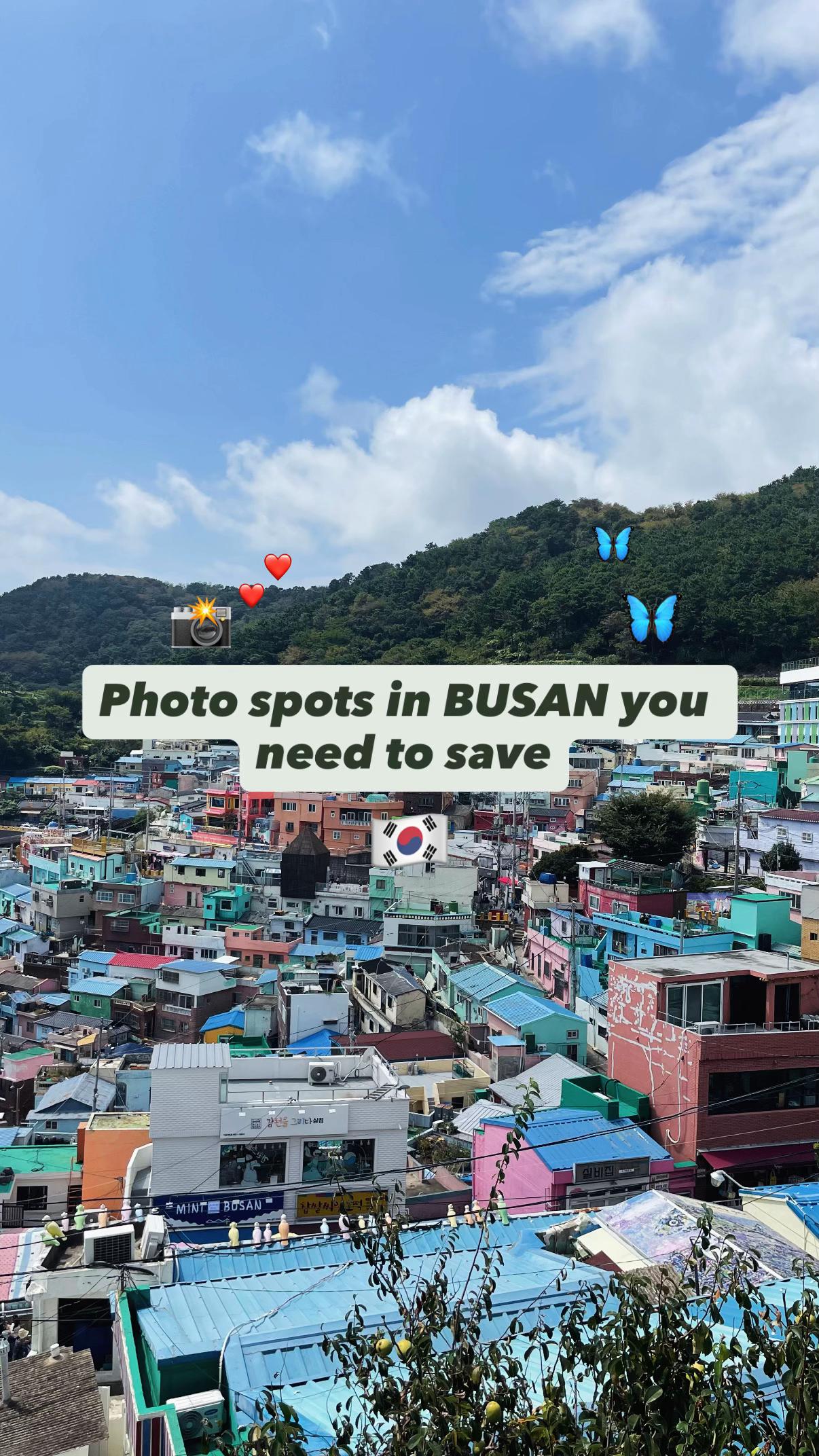 Busan's Diverse Attractions: Temples, Parks, and Adventures