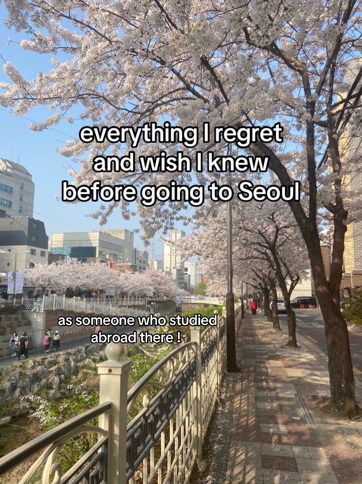 Seoul's Vibrant Streets And University Hubs