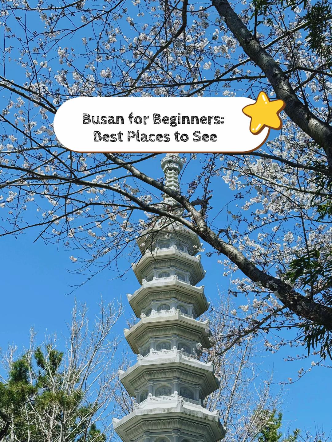 Busan's Top 16 Attractions and Unique Spots