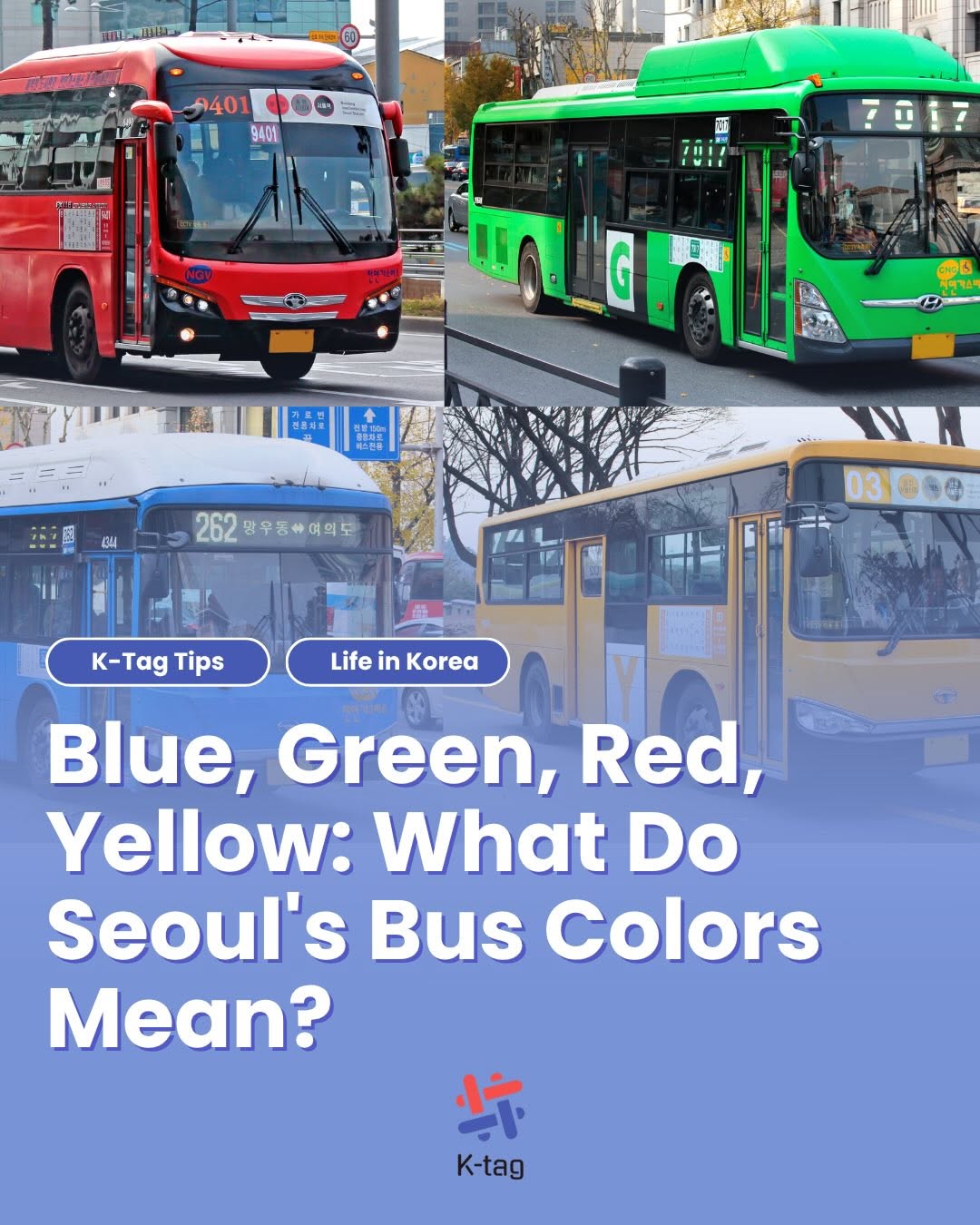Seoul Bus Color Codes Explained
