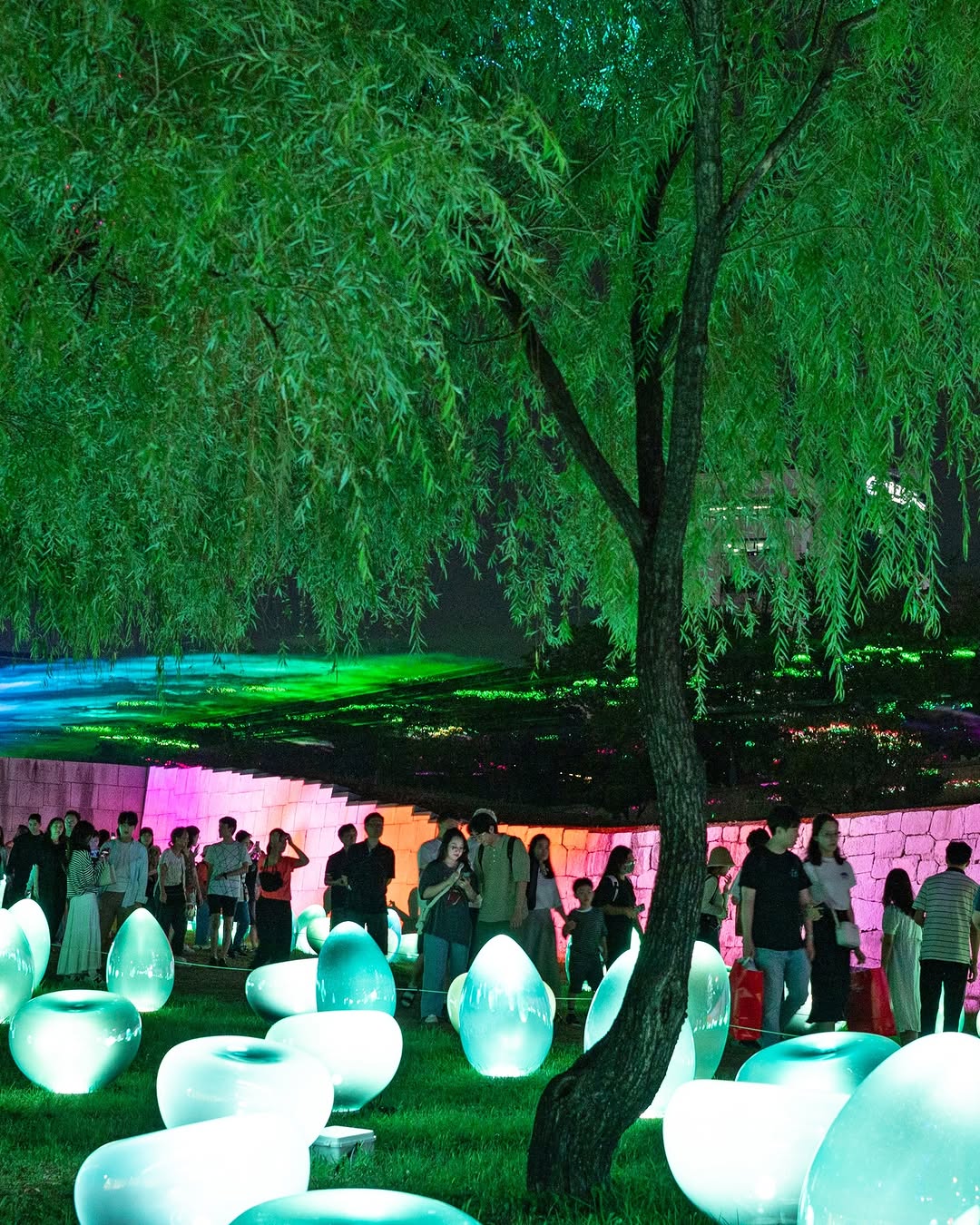 Seoul Light DDP Autumn: Everflow Light Festival