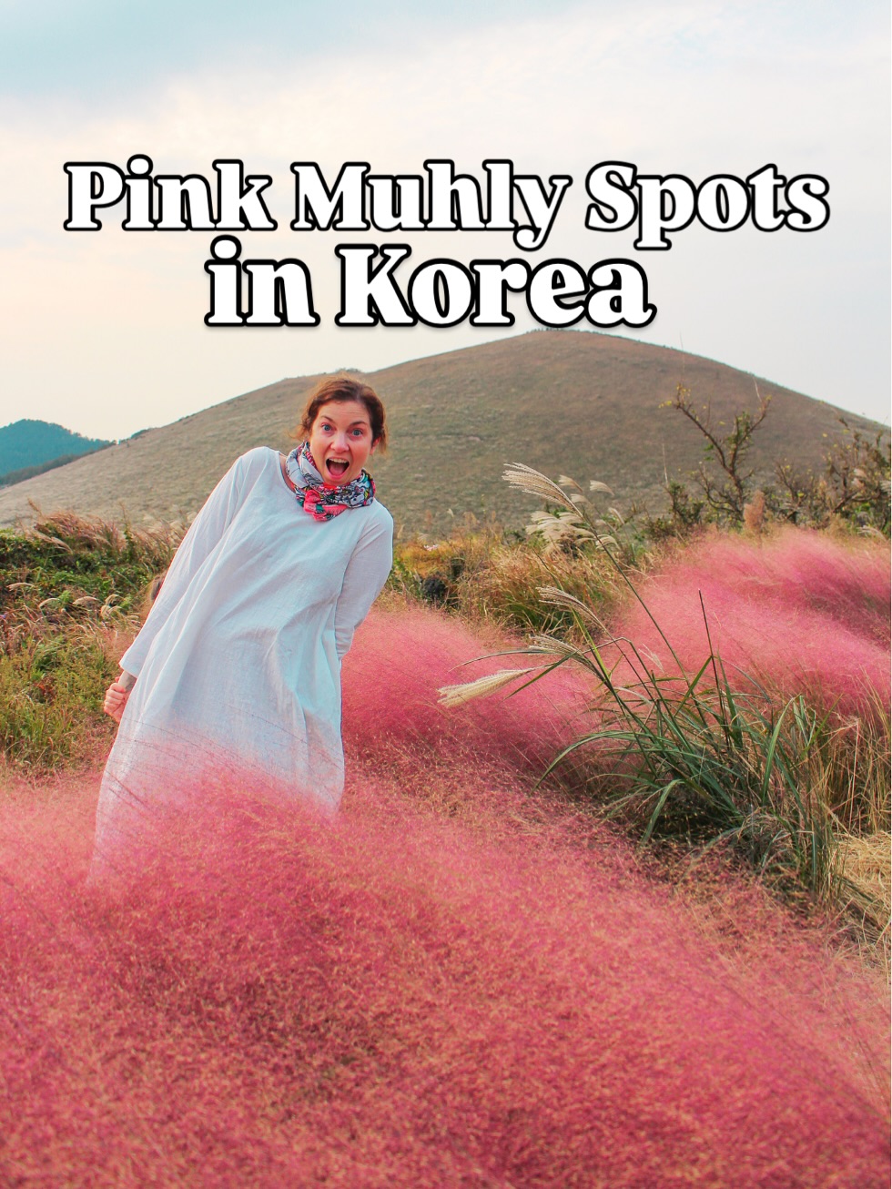 Stunning Pink Muhly Grass Destinations Across Korea