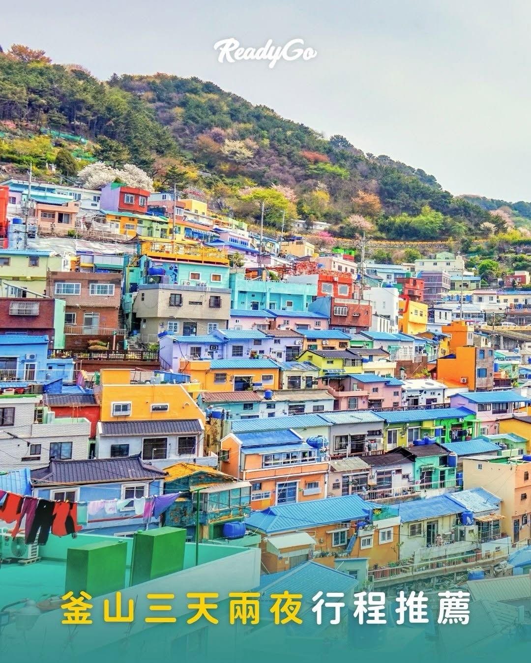 Busan's Best: Sea Views, Culture, and Cuisine