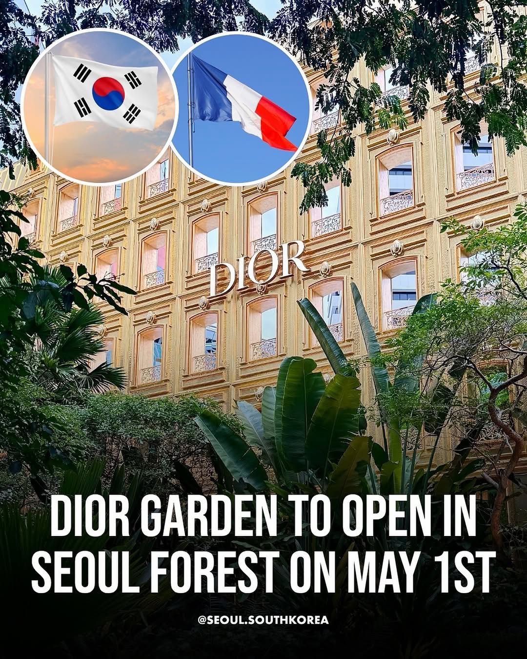 Dior Garden Experience at Seoul Forest