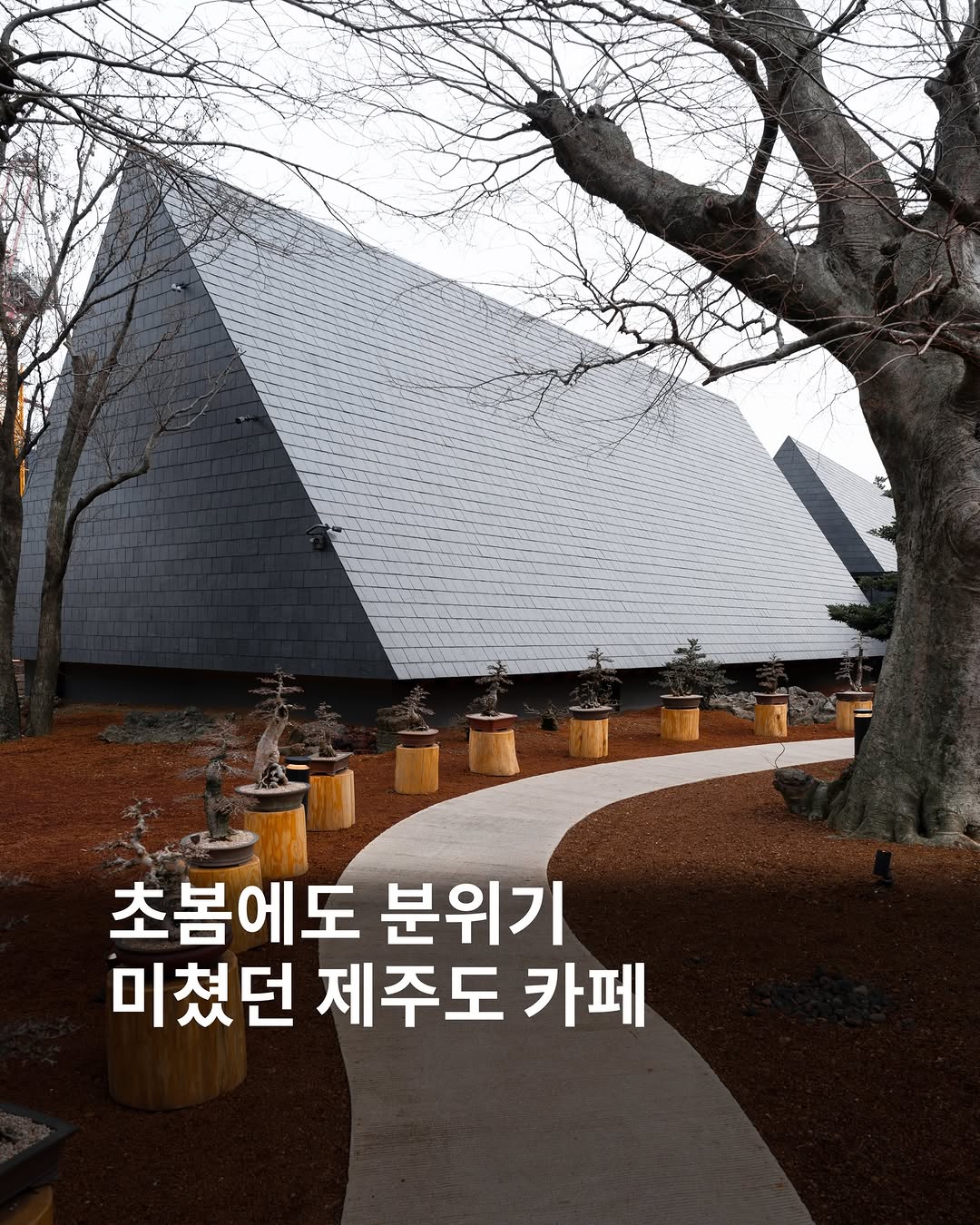 Yuji Coffee Works: Jeju Island Cafe with Natural Ambiance