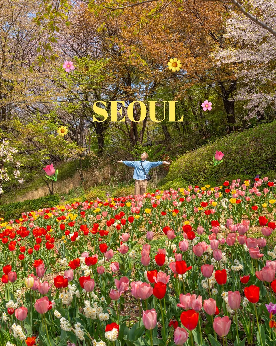Seoul's Popular Cafes And Restaurants